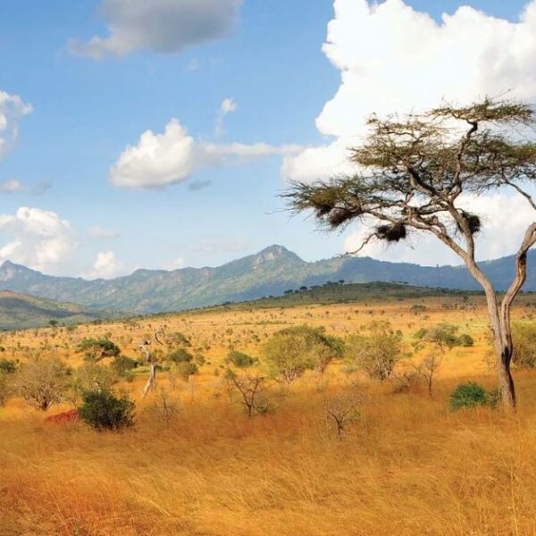 Kenya Ladies Tour Packages