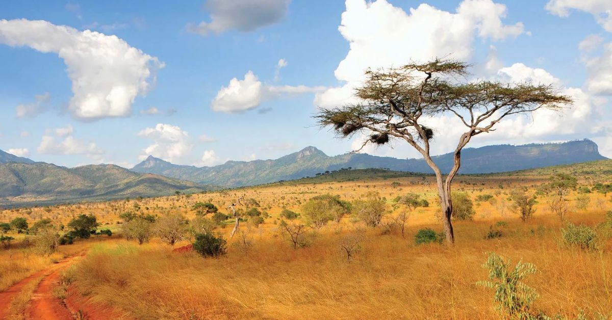 Kenya Ladies Tour Packages Kenya Ladies Tour Packages