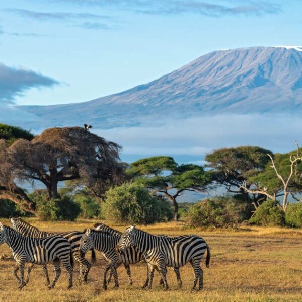 Masai Mara Women Trip