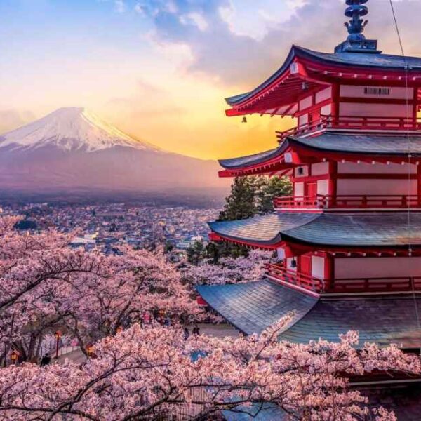 Japan Women Tour Packages