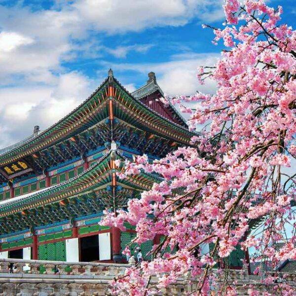 South Korea Women Solo Trip Safety