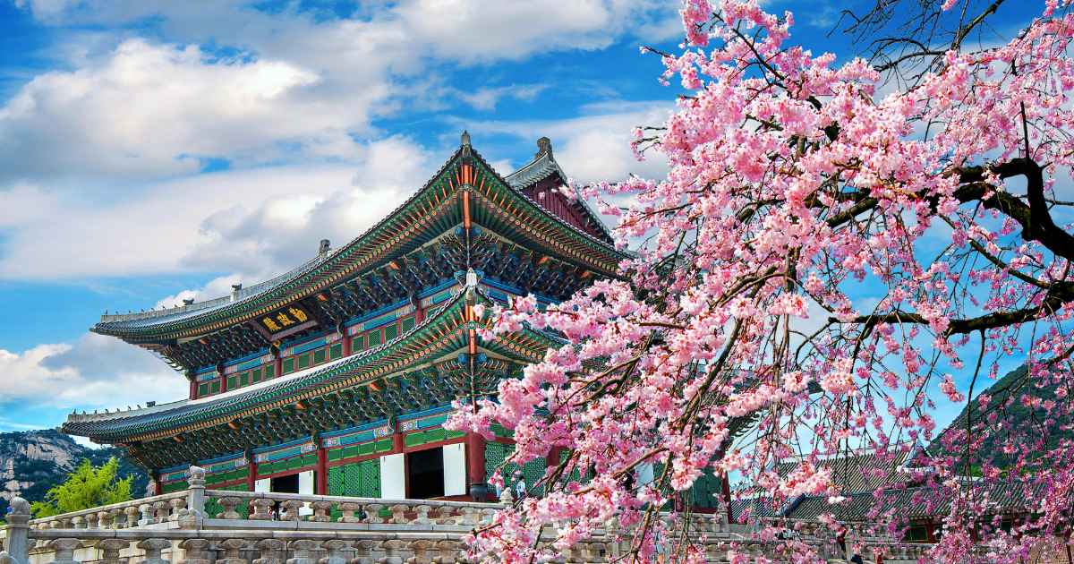 South Korea Women Solo Trip Safety