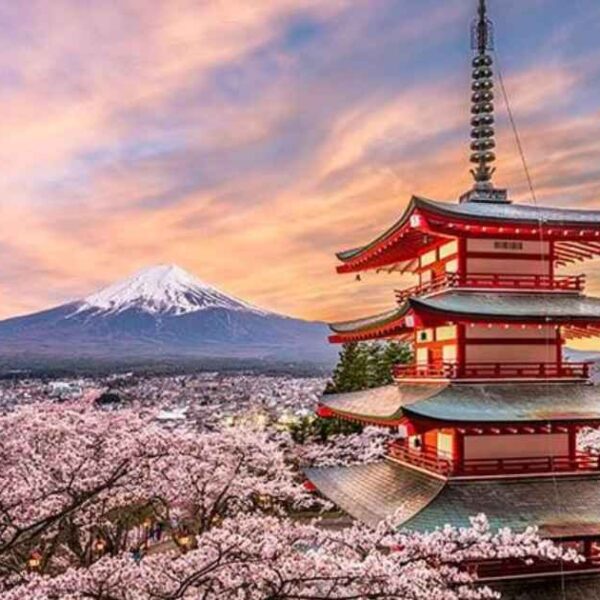 Japan Tour Packages for Indian Women